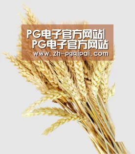 PG电子官方网站| PG电子官方网站