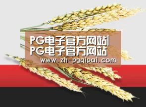 PG电子官方网站| PG电子官方网站