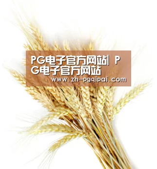 PG电子官方网站| PG电子官方网站