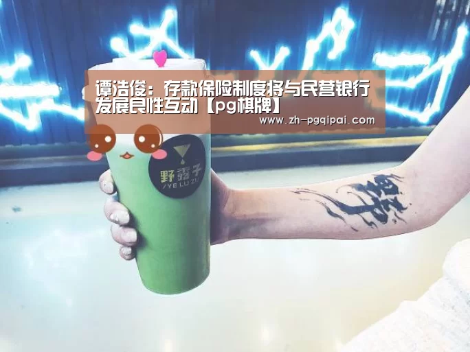谭浩俊:存款保险制度将与民营银行发展良性互动【pg棋牌】(图3) pg棋牌