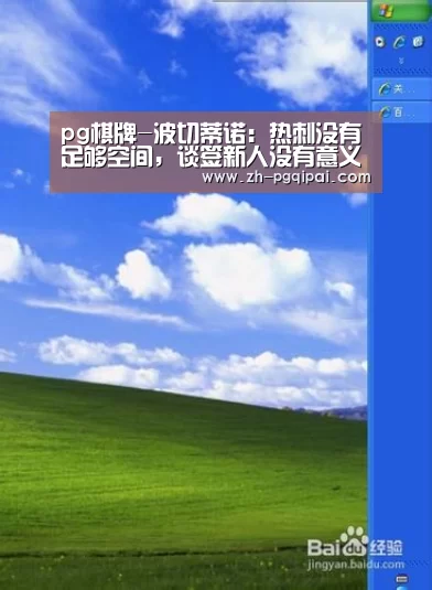 pg棋牌-波切蒂诺:热刺没有足够空间,谈签新人没有意义(图4) pg棋牌