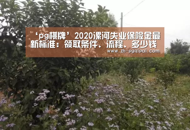 ‘pg棋牌’2020漯河失业保险金最新标准:领取条件、流程、多少钱(图1) pg棋牌