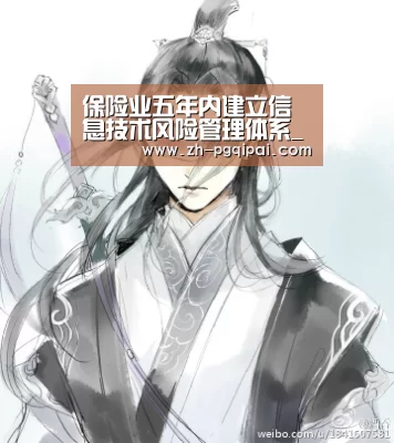 保险业五年内建立信息技术风险管理体系_pg棋牌(图2) pg棋牌