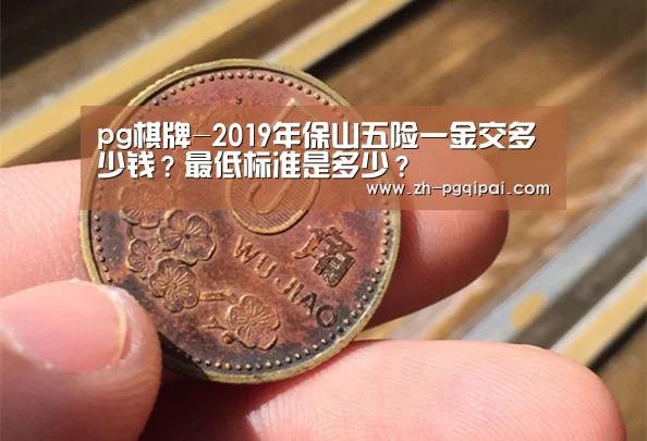 pg棋牌-2019年保山五险一金交多少钱?最低标准是多少?(图3) pg棋牌