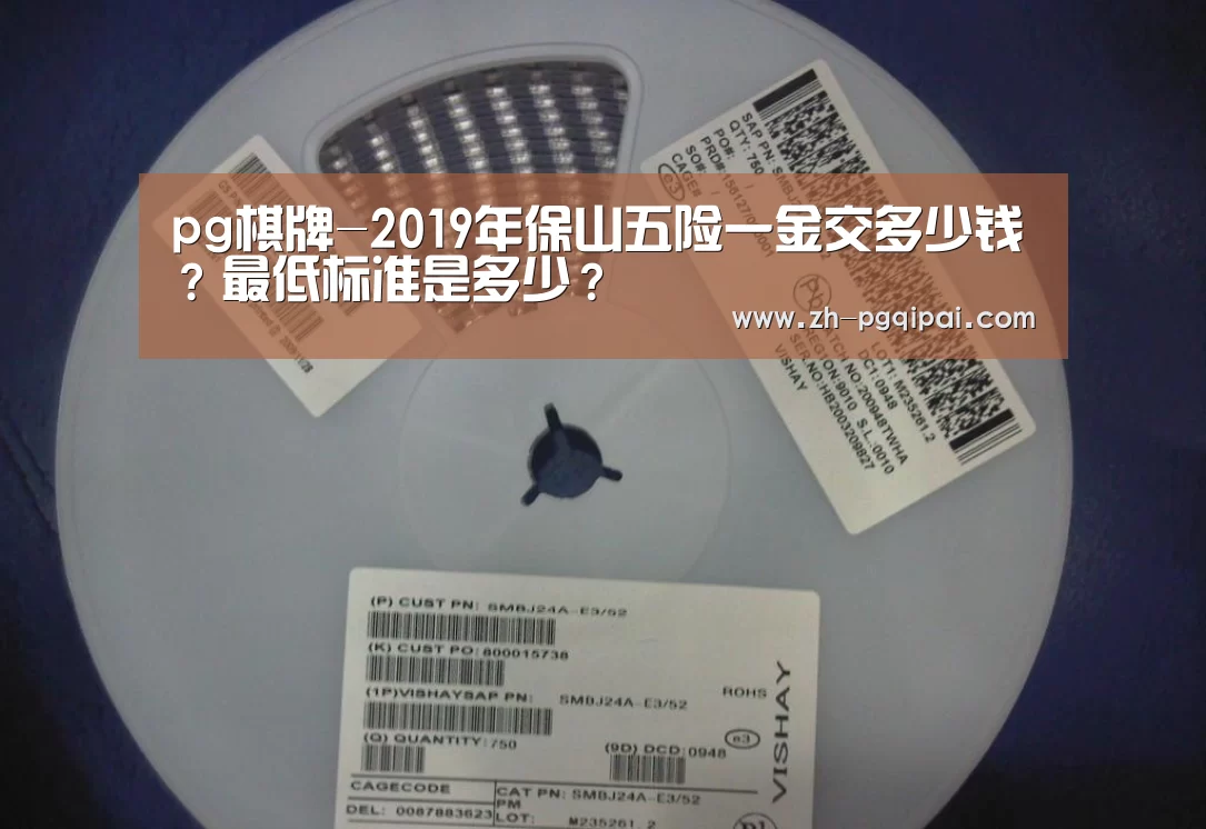 pg棋牌-2019年保山五险一金交多少钱?最低标准是多少?(图2) pg棋牌
